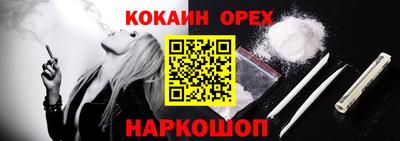 шишки Дубна