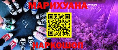 шишки Дубна