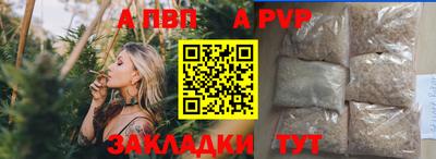 шишки Дубна