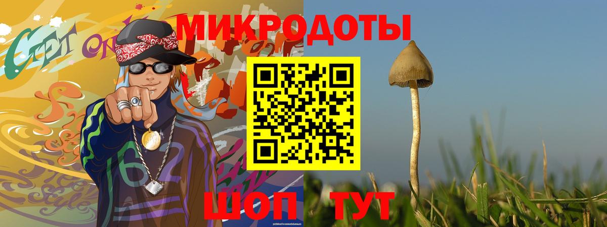 Псилоцибиновые грибы Cubensis  Вход с VPN  Новоуральск 